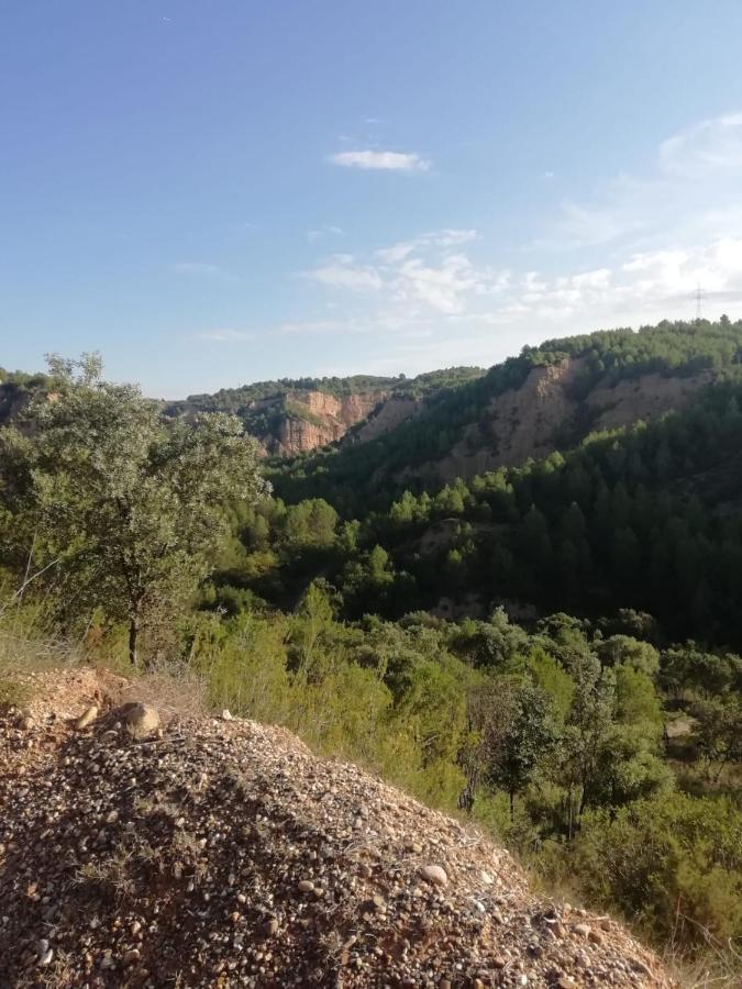 Agroturismo L'olivera Castellbisbal