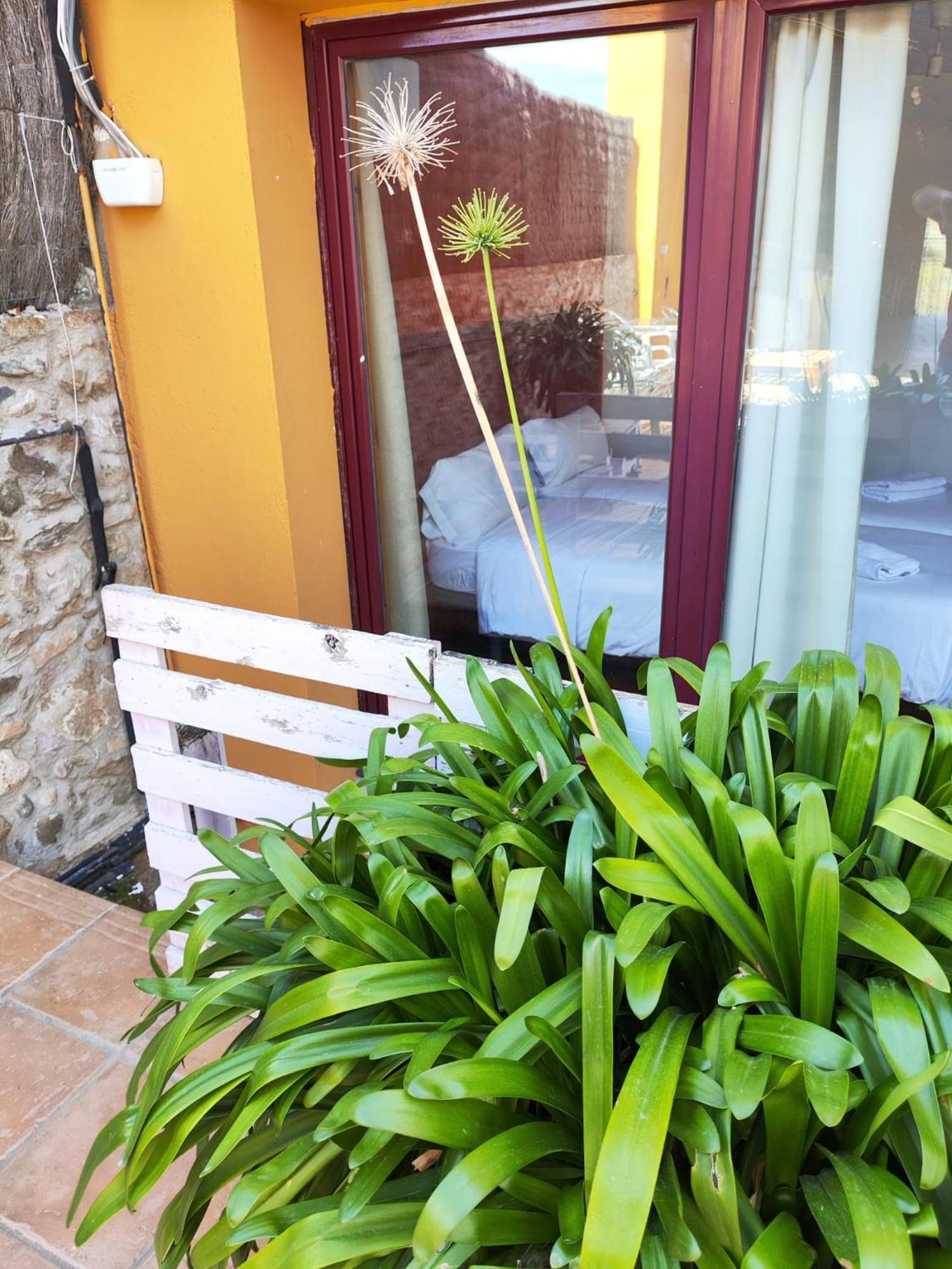 L'olivera Agroturismo *